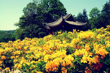 丹景山第 24 张图片