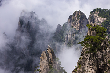 黄山风景区第 369 张图片