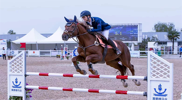 黄鹤楼马术小镇