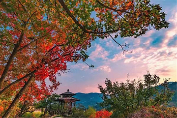 九如山休闲旅游度假区第 194 张图片