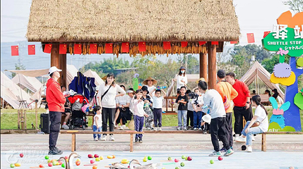 天府童村第 3 张图片