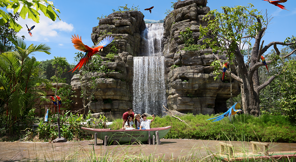 新加坡飞禽公园