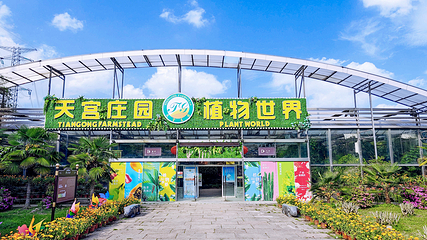 天宫庄园第 29 张图片