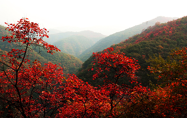 韶山峡第 17 张图片