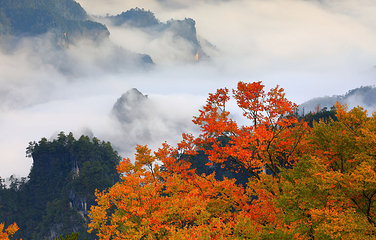 光雾山旅游景区第 53 张图片