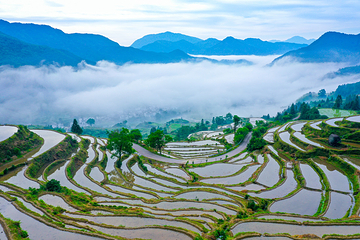 江岭景区第 25 张图片