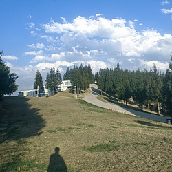 水城国家杜鹃公园