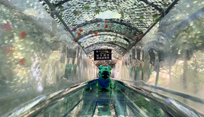 王府竹海度假旅游区第 23 张图片