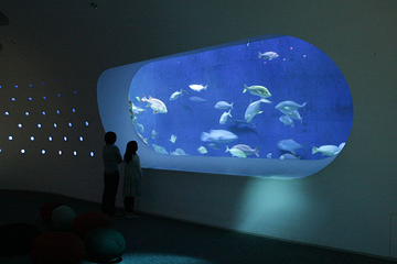 大分海之卵水族馆第 4 张图片