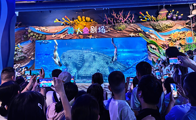 西安海洋馆第 6 张图片