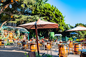 中山路壹号传奇club·啤酒花园餐厅