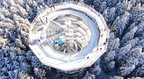 仙女山树顶漫步