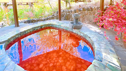 营口虹溪谷温泉第 36 张图片