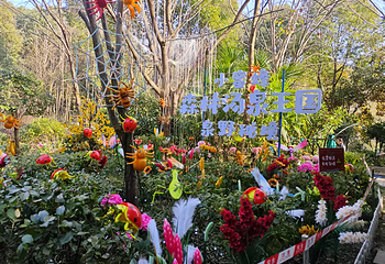 天颐汤泉第 15 张图片
