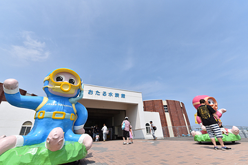 小樽水族馆第 5 张图片