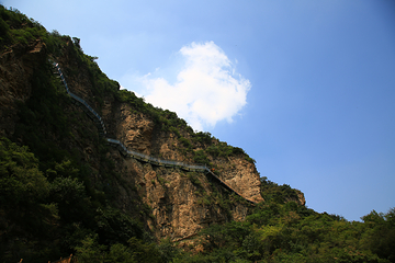 白蛇谷风景区第 11 张图片