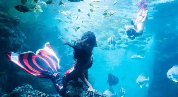 椰风寨海洋乐园