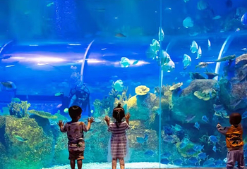 宿迁骆马湖海洋乐园第 10 张图片