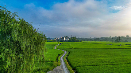 宏村景区第 463 张图片