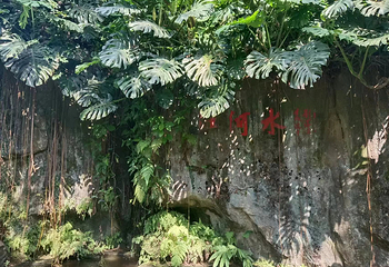 广州兰圃第 31 张图片