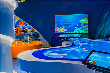 耕海1号·山海海洋之星第 12 张图片