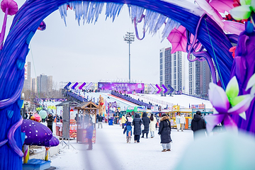 沈阳奥体冰雪嘉年华第 4 张图片