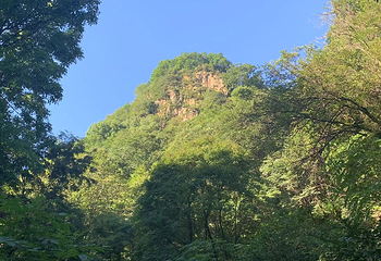 香炉山国家森林公园第 78 张图片