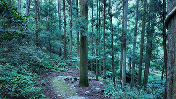 瑶琳国家森林公园