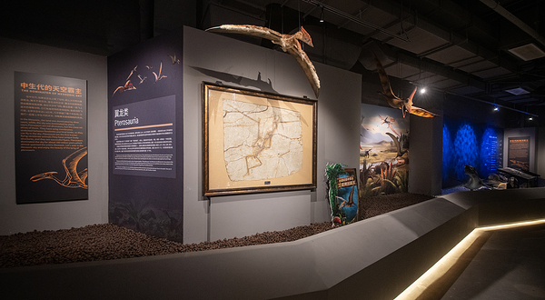 三亚恐龙博物馆