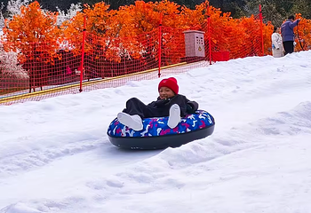 梅岭雪境部落第 17 张图片