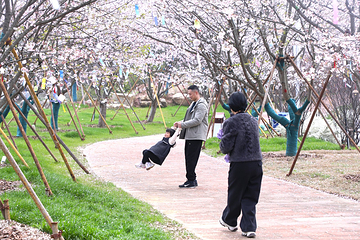 紫薇都市田园第 32 张图片