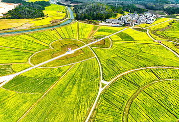 高岭文化村第 2 张图片