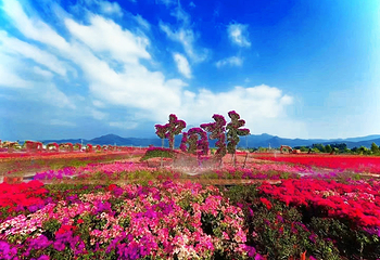 海南花梨谷文化旅游区第 11 张图片