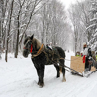 亚布力虎峰岭风景区