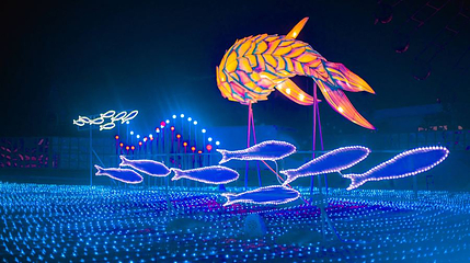 海昌不夜城光影艺术灯光乐园第 1 张图片
