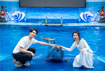 海合安成都极地海洋公园第 75 张图片