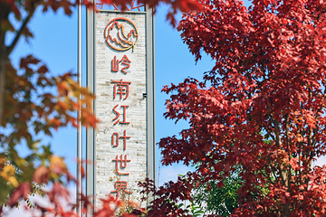 岭南红叶世界第 1 张图片