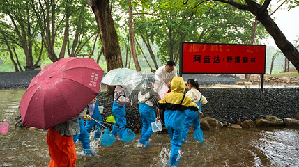 阿蓝达野溪森林第 1 张图片