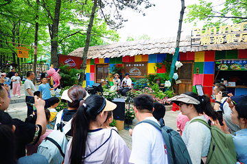 沂蒙山云蒙景区(蒙山国家森林公园)第 45 张图片