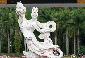 仙湖植物园第 26 张图片