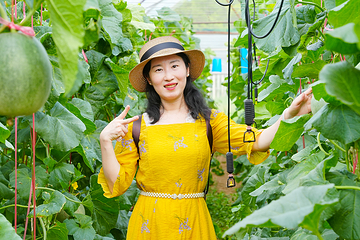 厚承陈皮文化生态园第 48 张图片