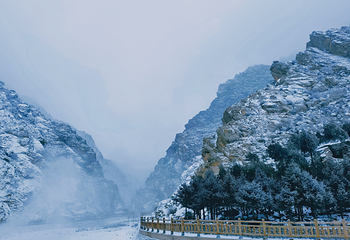 贺兰山岩画第 28 张图片