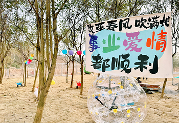 梅山湾鹿遇森林乐园第 9 张图片