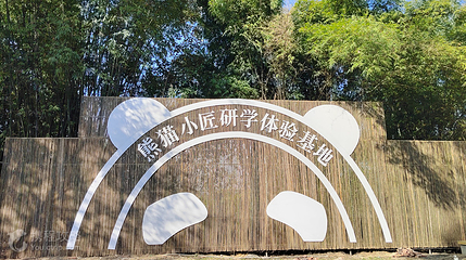 熊猫小匠研学体验基地第 4 张图片