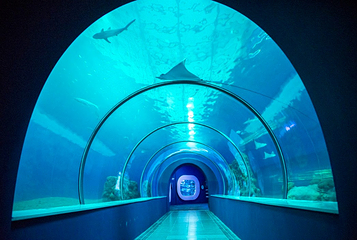 澎湖水族馆第 7 张图片