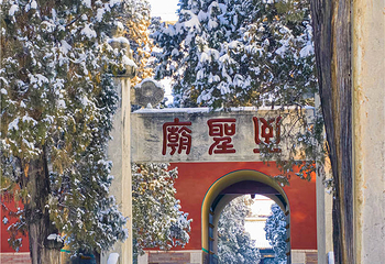 曲阜三孔景区第 74 张图片