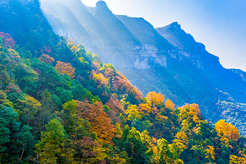 金佛山第 57 张图片