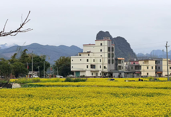 Sakalaka·咖啡营地第 7 张图片
