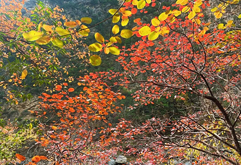 郑国渠旅游风景区第 68 张图片
