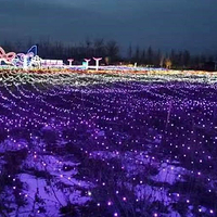 深州市登高家庭农场